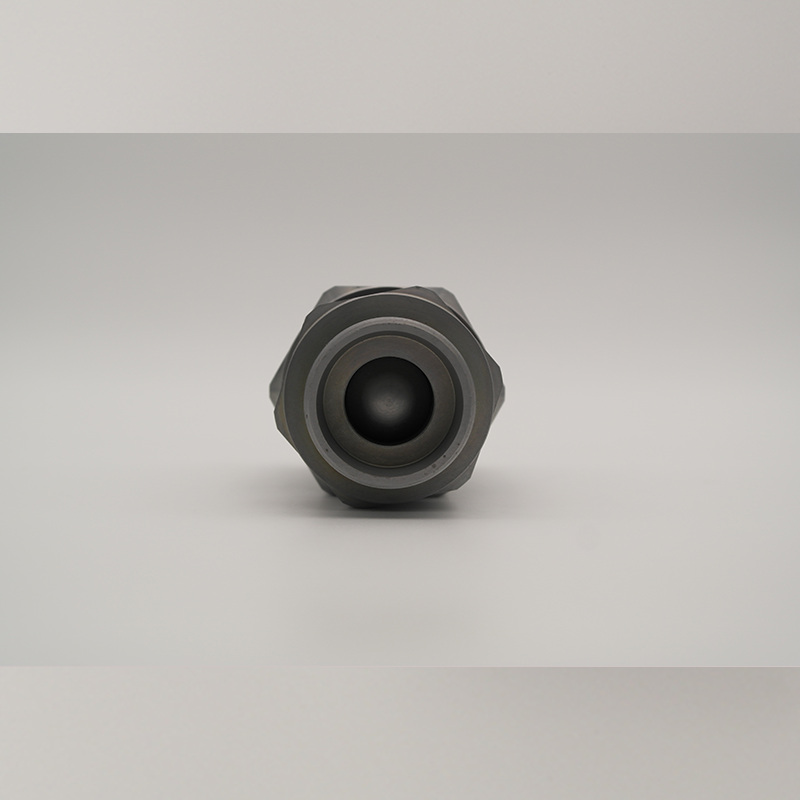 Hydraulic check valve